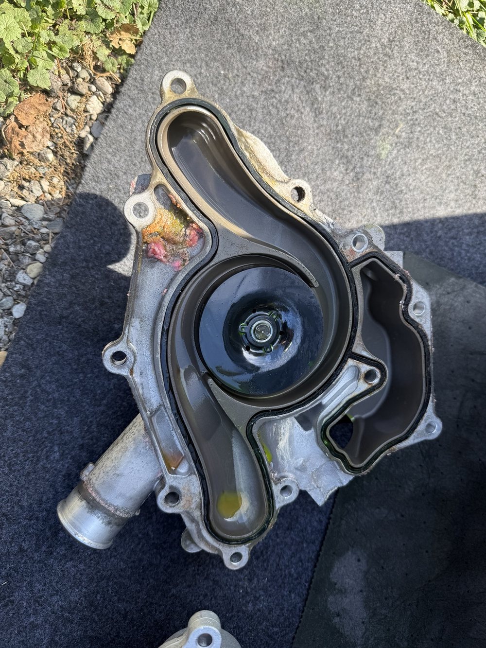 Removed water pump with visible coolant residue